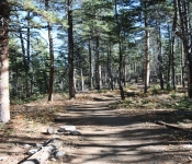 2020 10 05 Montana 017